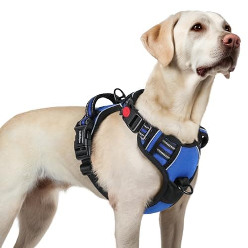 rabbitgoo Dog Harnesses for Large Dogs, No Pull Pet Harness with 3 Buckles, Adjustable Soft Padded Vest with Instant Control Handle, Easy Walking Reflective Pet Vest, Blue, L
