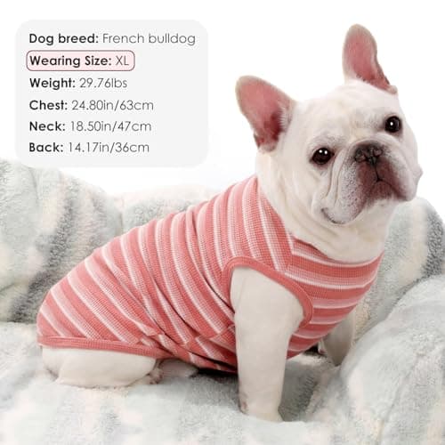 3Pack Dog Shirts Lightweight Waffle Dog Shirt for Small Dogs Sleeveless Dog Shirt for Small Medium Boy Girl Dogs Cozy & Breathable Pet Vest