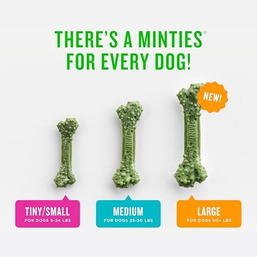 Minties Dental Chews for Dogs, 60 Count, Vet-Recommended Mint-Flavored Dental Dog Treats for Medium Dogs, Bones Clean Teeth, Fight Bad Breath, and Removes Plaque and Tartar — view 3