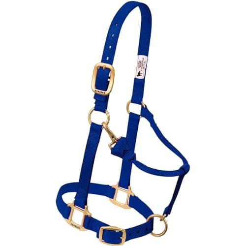 Weaver Leather Original Adjustable Nylon Horse Halter, Yearling, Hurricane Blue — view 7