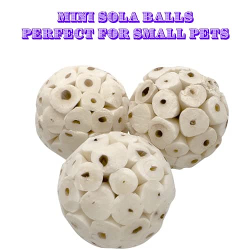 5122 Mini Sola Balls Pk6 - Small Size Natural Chewable Foot Toys, Air Dried Lightweight Foraging Sola Wood Balls, Easy to Shred and Chew, Excellent for Small Pets Budgie Cockatiel Lovebird Parrotlet — view 4