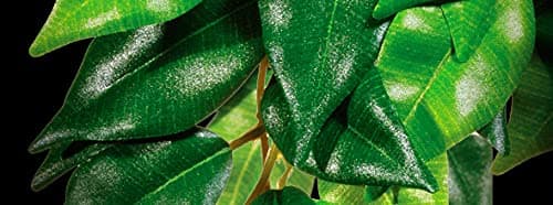 Exo Terra Jungle Plant - Amapallo - Small — view 2