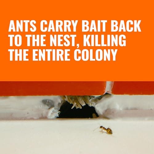 Terro, Ant Killer Bait Stations T300B - Liquid Bait to Eliminate Ants - Bait System - Stations for Effective Indoor Ant Control, 12 Count — view 2