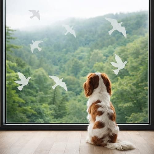 Anti Collision Window Bird Stickers Decals Glass Door Protect and Save Bird Strikes (Clear) — view 5