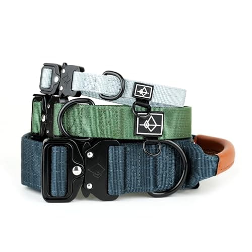 Made to ROAM Premium Dog Collar - Adjustable Heavy Duty Nylon Collar with Quick-Release Metal Buckle (California Horizon, Classic Size 4)