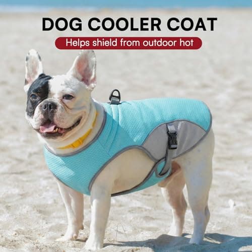 Preferhouse Dog Cooler Jacket for Extra Large Dogs, Dog Mesh Cooling Vest with Reflective Stripe and D Ring, Pet Cooling Jacket for Beach, Hiking, Walking, Blue-XL — view 5