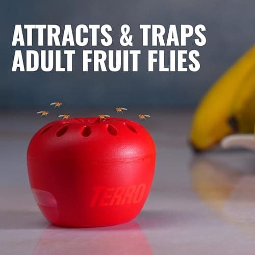 TERRO Fruit Fly Trap, 6-Pack Indoor Fly Traps with 270 Days Lure Supply — view 2