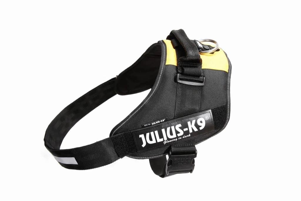 Julius-K9, 16IDC-AM-M, IDC Powerharness, dog harness, Size: Mini, Aquamarine — view 211