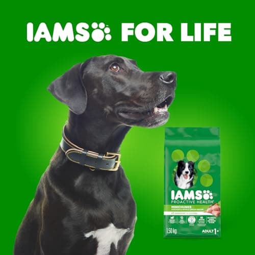 IAMS Proactive Health Minichunks Dry Dog Food – Crunchy Kibble for Adult Dogs – Chicken & Whole Grain Recipe – 1.50KG (3.3LB) Bag — view 11