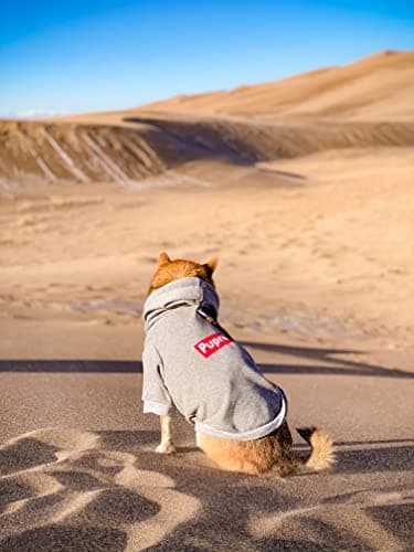 ChoChoCho Pup Dog Hoodie, Dog Sweater, Fashion Dog Clothes, Pet Clothing Cotton Cat Hoodies Stylish Streetwear Sweatshirt Gray Tracksuits Outfit for Dog Cat Puppy Small Medium Large (L) — view 2