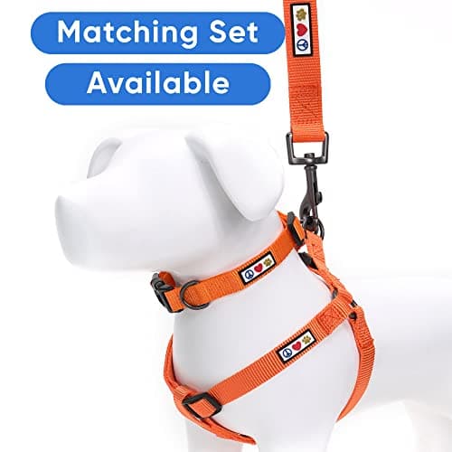 Pawtitas Solid Dog Leash Puppy Training Lead Orange 2-XSmall or Cats Daily Use Outdoor Control Laisse Solide Pour Chien Chiot Chat Orange 1.8 m — view 4
