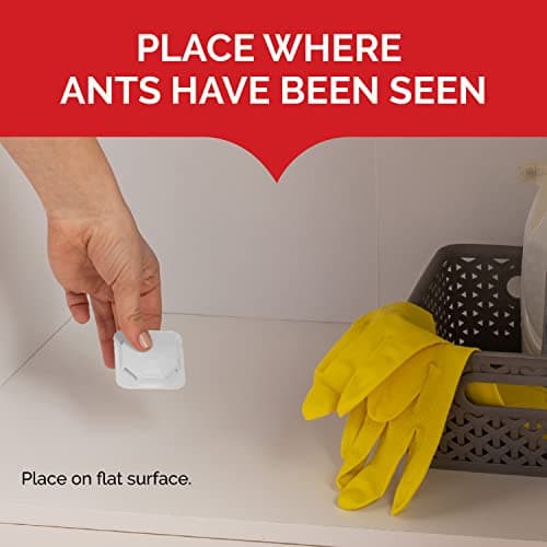 Hot Shot MaxAttrax Ant Bait 8 Count, Child-Resistant Bait Stations — view 4