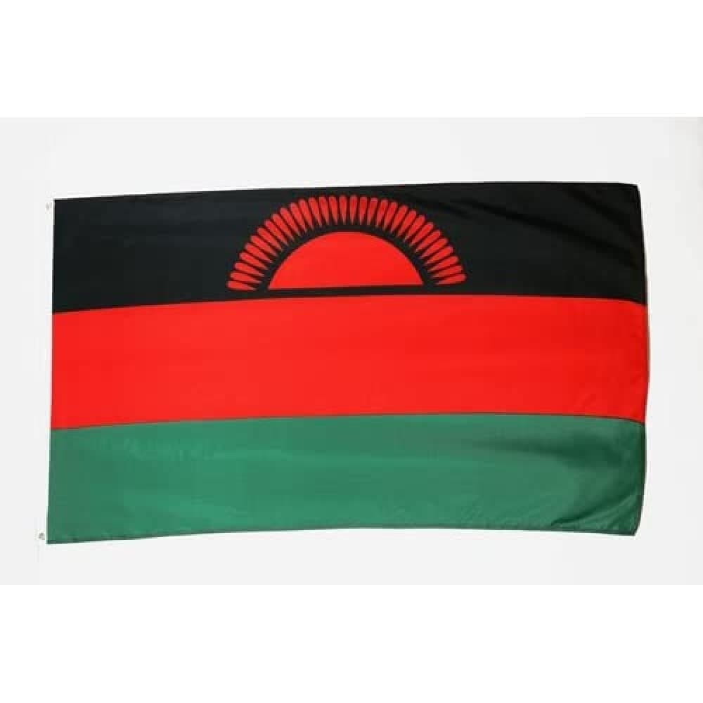 AZ FLAG - Gambia Flag - 2x3 Ft - 100D Polyester Gambian Banner with Two Metal Grommets - Fade Resistant - Vivid Colors - 2' x 3' Feet - 90x60 Cm — view 67
