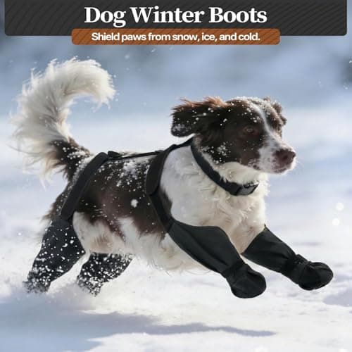 LETSQK Anti-Slip & Fall Dog Suspender Boots, Waterproof Adjustable Dog Shoes for Large Dogs, Dog Rain Boots Pet Paw Protector Recovery Booties for Outdoor Walking Rainy Snow Hiking, Black L — view 6