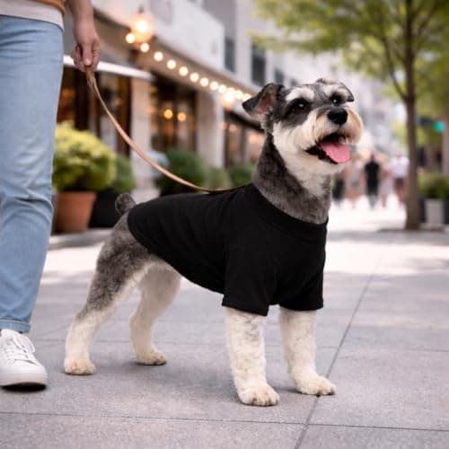 Lovelonglong Pet Clothing Dog Costumes Basic Blank T-Shirt Tee Shirts for Small Dogs Black S — view 5