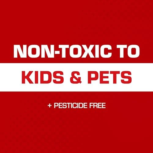 Tomcat Glue Traps Mouse Size with Eugenol for Enhanced Stickiness - Sticky Pads For Mice, Cockroaches, and Spiders, 6 Traps — view 5