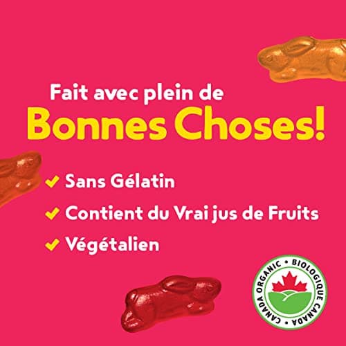 ANNIE'S - FAMILY PACK - Organic Fruit Flavoured Snacks Strawberry, Pack of 10 Pouches, Natural Strawberry Flavours, No Synthetic Colours, Gelatin Free, Gluten Free, Vegan, Snacks — view 5