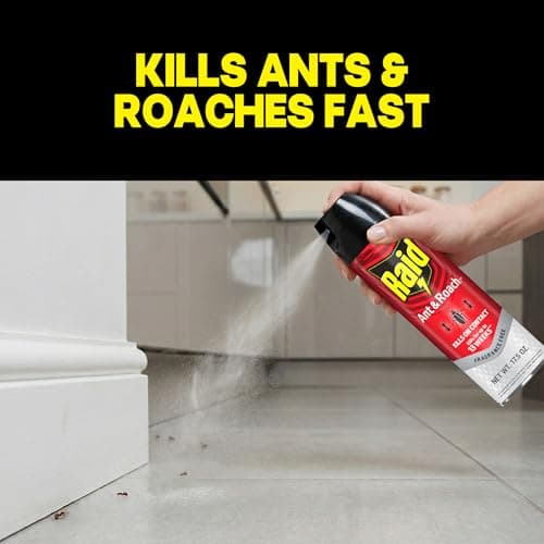 Raid Ant & Roach Killer, Fragrance Free Bug Killer for Home Use, Kills Bugs on Contact, 17.5oz