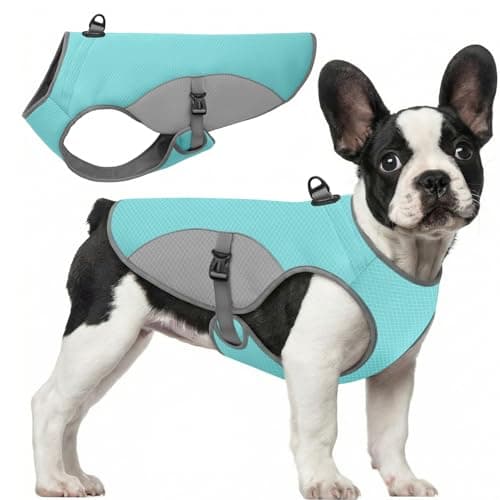 Preferhouse Dog Cooler Jacket for Extra Large Dogs, Dog Mesh Cooling Vest with Reflective Stripe and D Ring, Pet Cooling Jacket for Beach, Hiking, Walking, Blue-XL