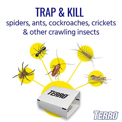 TERRO T3206CAN 4-Pack Spider & Insect Trap