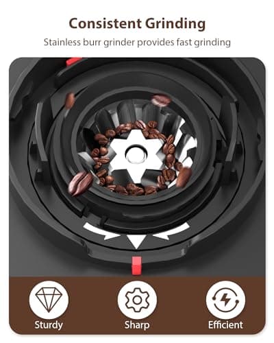 Aromaster Burr Coffee Grinder, Electric Coffee Bean Grinder for Home Use, 25 Grind Settings, Adjustable 2-12 Cups Timer,3-Ears Portafilter Holder, Anti-Static Design, Cleaning Brush, Black — view 3