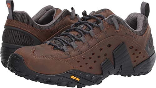Merrell Men's Intercept Trail Shoe, Dark Earth, 9 M US