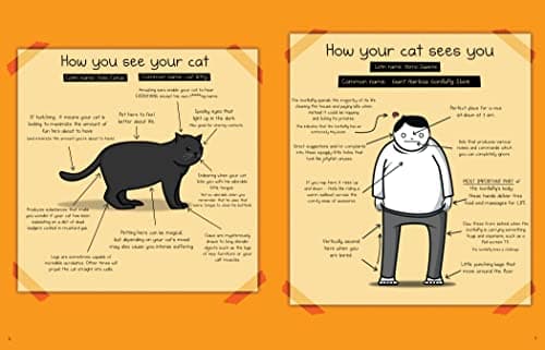 How to Tell If Your Cat Is Plotting to Kill You (The Oatmeal) (Volume 2) — view 5