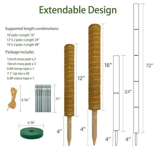 Moss Pole Monstera Plant Support, 5 Pack — view 2