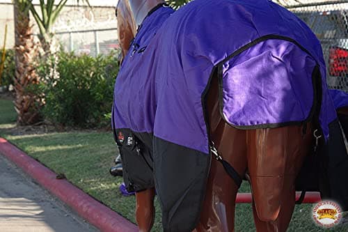 HILASON 1200D Winter Waterproof Poly Horse Turnout Blanket Belly Wrap Purple | 74 in — view 5