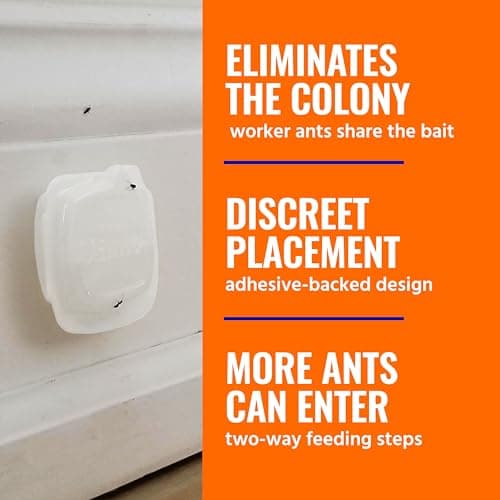 TERRO Indoor Liquid Ant Baits with Multi-Surface Adhesive Strips – 4-Pack, Ant Trap and Bait Station for Discreet Baiting, Stations for Complete Colony Elimination, Discreet Ant Traps, T334BCAN — view 4