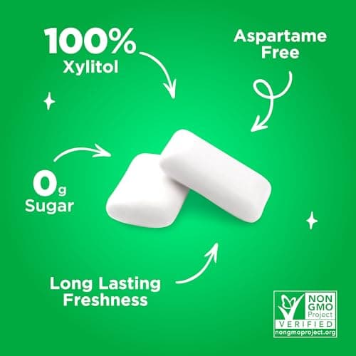 PUR Gum | Aspartame Free Chewing Gum | 100% Xylitol | Natural Spearmint Flavored Gum, 55 Pieces (Pack of 1) — view 5