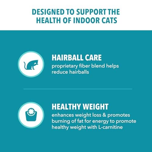 IAMS Proactive Health Dry Cat Food, Indoor Weight and Hairball Care Cat Food Dry Recipe, with Real Chicken in Every Bite, 22 lb. Bag — view 2