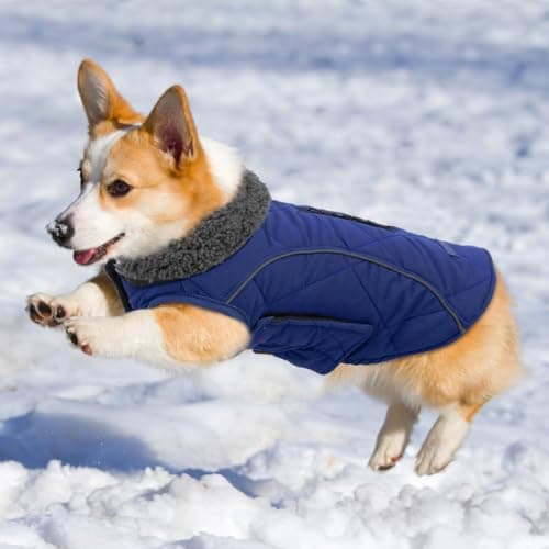 EMUST Dog Winter Jackets, Small/Medium/Large Dog Coat for Winter, French Bulldog Clothes for Dogs, Dog Cold Winter Jacket for Large Dogs, Dark Blue, XL — view 5