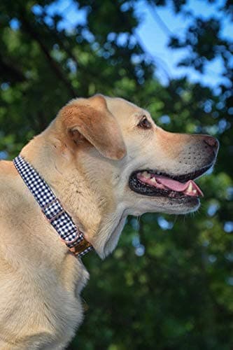 ARING PET Bowtie Dog Collars Adjustable Collar with Bow Tie for Puppy Small Medium Large Boy Girl Dogs-Size M Length 13.5-22" — view 2