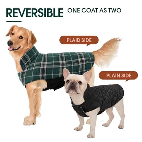 Kuoser Waterproof Dog Coat, Reversible Dog Jacket for Large Dogs, Adjustable Durable Doggie Winter Coat for Groowing Puppies Warm Puppy Cold Weather Apparel, Green XS — view 3