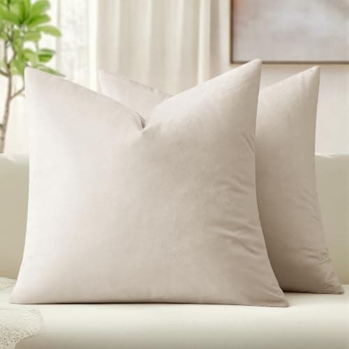 MIULEE Pack of 2 Velvet Decorative Throw Pillow Covers 20x20 Cream White