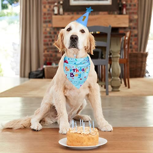 Yicostar Dog Birthday Party Supplies, Dog Birthday Bandana Set, Dog Boy Girl Birthday Party Hat with Numbers for Large Medium Small Dogs Pet (Blue) — view 6