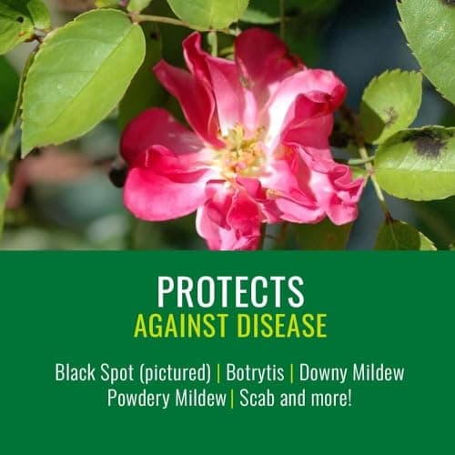 Natria Neem Oil Spray for Gardening - Ready-to-Use - Pest Control & Disease Control - Use for Houseplants and Home Gardens - 24 oz Bottle — view 2
