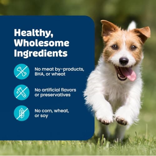 Blue Buffalo Health Bars Pumpkin & Cinnamon Crunchy Dog Biscuits, Oven-Baked with Pumpkin & Natural Ingredients, Healthy Dog Treats with No Artificial Flavors or Preservatives, 16 oz. — view 9
