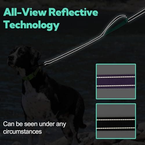 Dual-Handle Dog Leash 6FT, Heavy Duty Nylon with Reflective Threads,Black — view 3