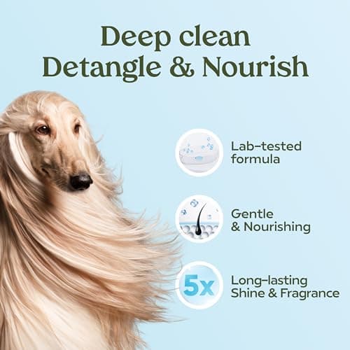 PAWFUME Dog Shampoo and Conditioner, Blue Ribbon, 2-Pack – Nourish & Detangle for a Silky Soft Coat – Probiotic, Deep-Cleaning, pH-Balanced Formula – Puppy Shampoo and Conditioner for All Breeds — view 4