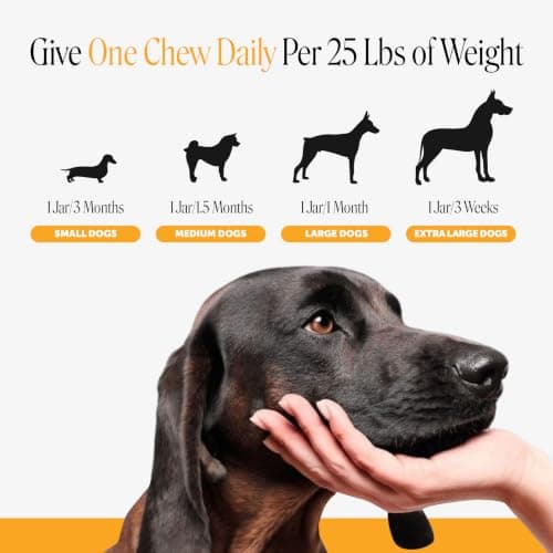 Dog Allergy Relief Immunity Chews - Paw Licking, Itching & Seasonal Allergies - with Colostrum, Probiotics, Turmeric & Salmon Oil - Vet Recommended Anti-Itch Supplement for Dogs (Salmon, 90 Ct) — view 6