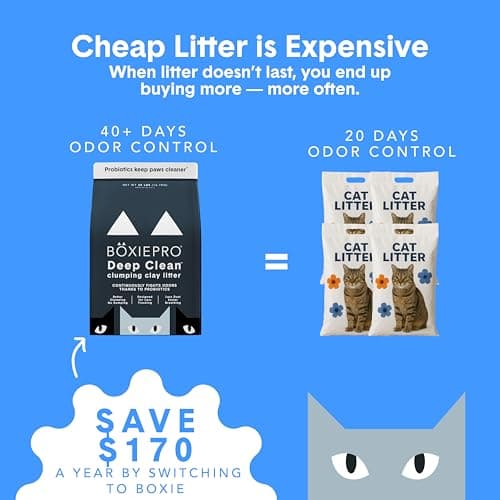 Boxie® Probiotic Cat Litter 40 Day Natural Odor Control, 16lb Clumping Kitty Litter (Clay) — view 2