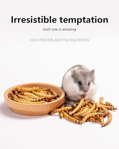 Niteangel Hamster Snack & Treats Toy - Small Animal Natural Treat for Dwarf Syrian Robo Hamsters Gerbils Mice Lemmings Degus or Other Small-Sized Pets (Dried Worms- 0.9oz (25g))