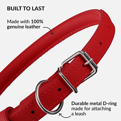 CollarDirect Rolled Leather Dog Collar, Soft Padded Round Puppy Collar, Handmade Genuine Leather Collar Dog Small Large Cat Collars (Red Smooth, 15-18 cm) — view 2
