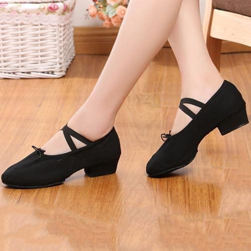 Women Latin Dance Shoes Canvas Ballroom Character Teacher Shoe Chunky Low Heel Comfy Dancing Loafers（Black，9) — view 2