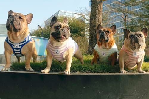 iChoue French Bulldog 100% Breathable Cotton Striped T Shirts Halloween Vest Clothes for Small Dogs Tank Tops Puppy Frenchie Pug English Boston Terrier Pitbull Pink White Stripes - Medium — view 3
