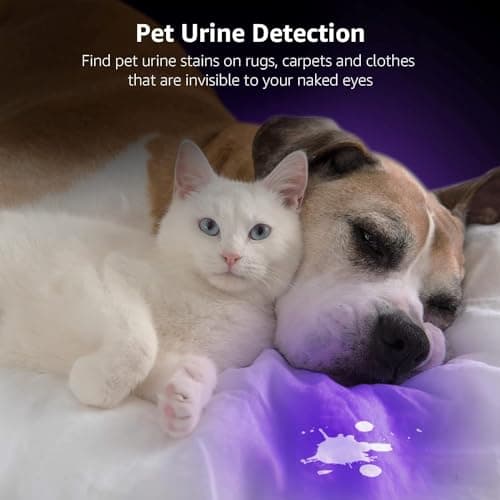 LE UV Flashlight, Handheld Black Light Flashlight, 395nm Ultraviolet Flashlight, Pet Urine Stain Detector, 3 AAA Batteries Included, Find Stains on Clothes, Carpet or Rugs