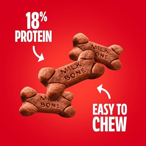 Milk-Bone Soft & Chewy Dog Treats, Made with Real Beef & Filet Mignon, 25 Ounce Canister — view 3