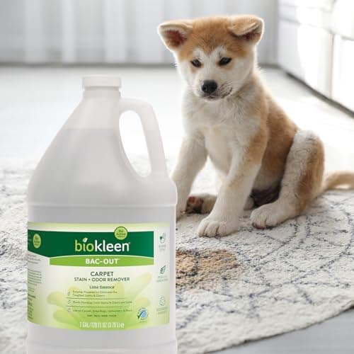 Biokleen Bac-Out Enzyme Cleaner and Stain & Odor Remover for Pet Stains, Laundry, Diapers, Wine, Carpets, & More, Eco-Friendly, Non-Toxic, Lime Scent, 128 Ounces — view 5